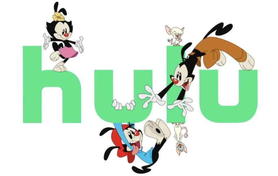 The Animaniacs are Back in 2020!