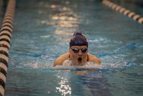 Another season of LHS swim is underway. Photo courtesy of the yearbook staff.