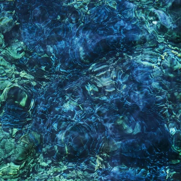 Ichiko Aoba’s ‘Luminescent Creatures’ Is an Alluring Ode to the Sea